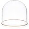 Plymor 5.5" x 5.5" Glass Display Dome Cloche (Gold Rim Glass Tray Base)